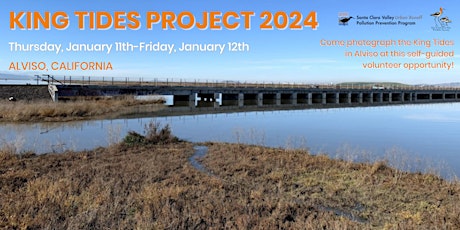 Self-Guided Volunteer Opportunity: January 2024 King Tides in Alviso primary image