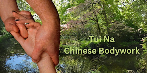 Tui Na Chinese Bodywork primary image
