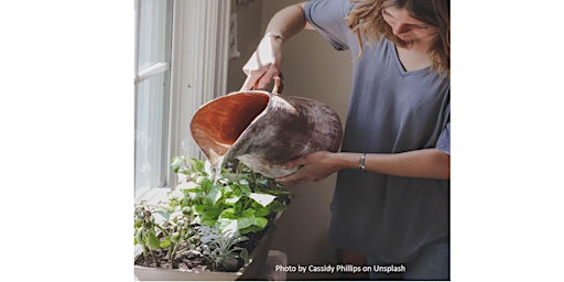 Imagem principal do evento Frederick County Master Gardener:Make & Take Mini-Garden for1st-12th grade