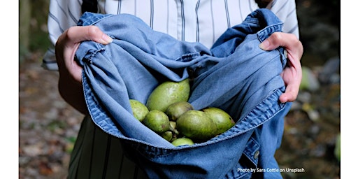 Imagem principal do evento Frederick County Master Gardener: Pawpaws, a Little Known Treasure