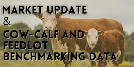 Market Update & Cow-Calf and Feedlot Benchmarking Data