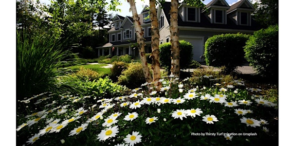 Frederick County Master Gardener:  Honey, I Shrunk the Lawn