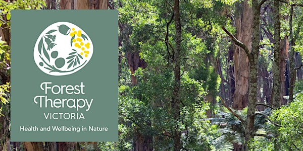 Forest Therapy Experience for Female Survivors of Domestic Violence