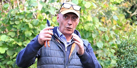 Rose Pruning with Steve Malsher - Morning only primary image