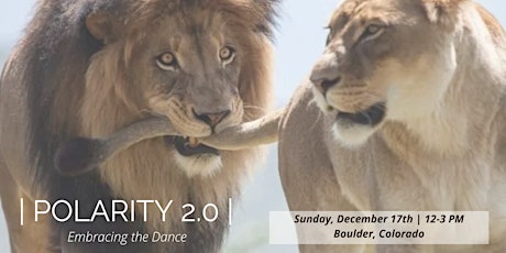 | POLARITY 2.0 - Advanced | Embracing The Dance primary image