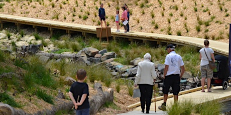 Restoring our Whenua: Native plant seed raising and ecology primary image