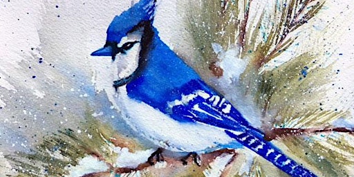Winter Blue Jay in Watercolors with Phyllis Gubins  primärbild