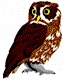Organizer profile image