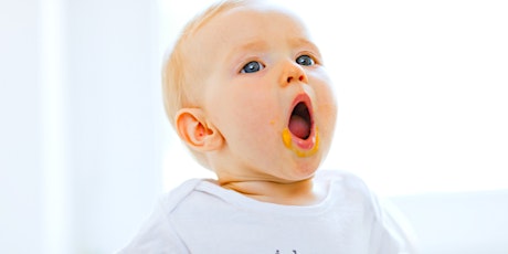 Baby Weaning Class- Oct 18th primary image