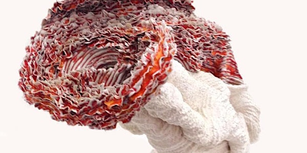 Abstract Botanical Ceramics & Sculpture with Zoe Clare (Oct - Nov 2019)