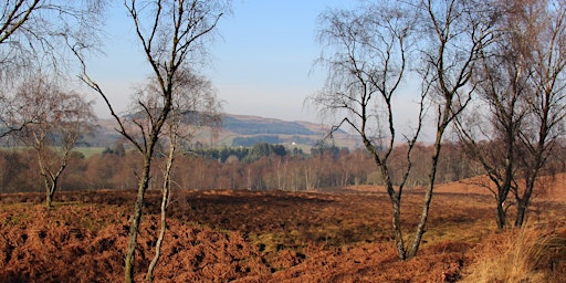 Primaire afbeelding van Mugdock Sensational Safari: Drumclog Moor Adventure