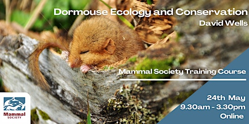 Hauptbild für Dormouse Ecology & Conservation - Online