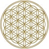 Logotipo da organização Fifth Element Soul