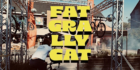Fat Grally Cat 2024