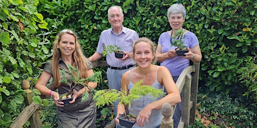 Imagem principal do evento Create a Bonsai Experience in a Streamside Garden