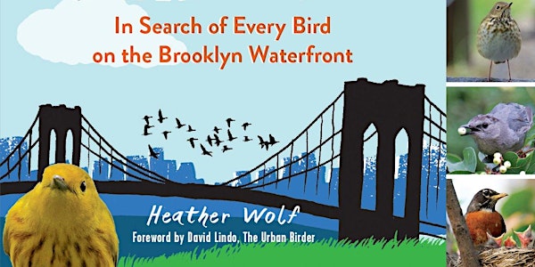 Birding with Heather Wolf