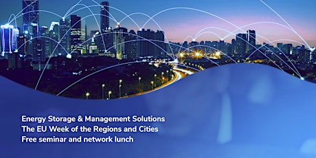 Primaire afbeelding van Energy Storage & Management Solutions (seminar and network lunch)