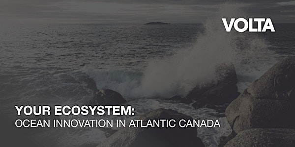 Your Ecosystem: Ocean Innovation in Atlantic Canada
