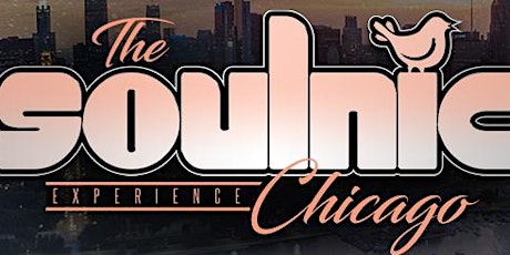 The SOULNIC Experience - CHICAGO primary image