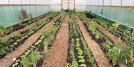 Image principale de How to set up a (organic, regenerative) market garden