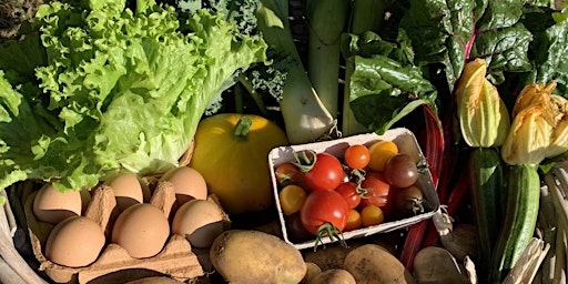 Hauptbild für Regenerative Veg Production