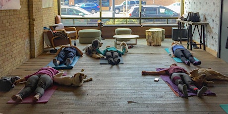 Doga at Hewing Hotel Yappy Hour (yoga with your dog!)