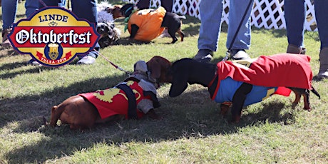 Dachshund Dash Race and Costume Parade 2019 Presented by Woodland West Animal Hospital and Pet Resort primary image