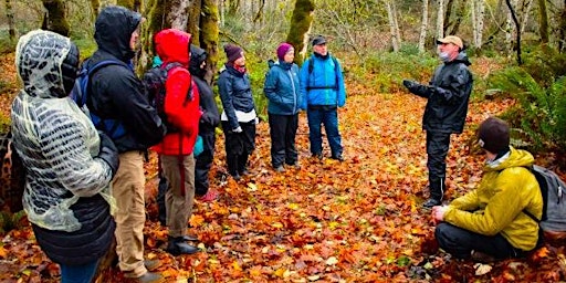 Primaire afbeelding van FOREST EDIBLES - Wild Edible and Medicinal Plant, Lichen & Fungi Field Tour