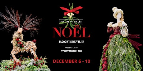 Imagen principal de Fleurs de Villes NOËL: Toronto