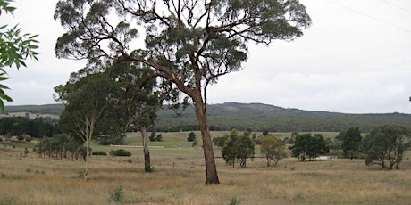 Revegetation for Small Farms Workshop primary image