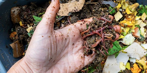 Imagem principal do evento Free Workshop Worm Composting