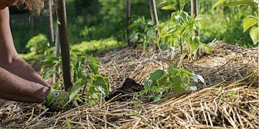 Hauptbild für Resilient Gardening for a Changing Climate