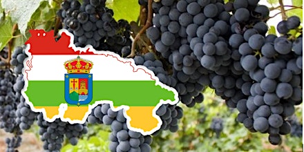 Rioja: Spain's Defining Region primary image