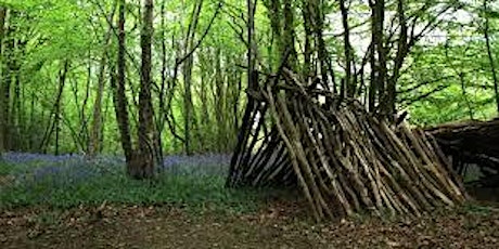 Den Building And Craft