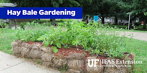 Primaire afbeelding van Haybale Gardening