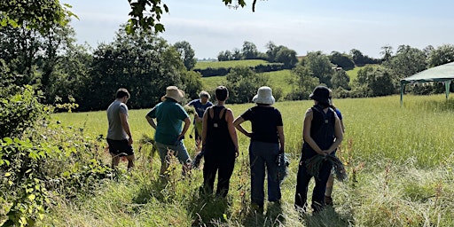 Hauptbild für Flax Harvest Experience