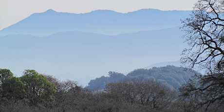 Annual New Year’s Hike on Sonoma Mountain’s East Slope Trail! primary image