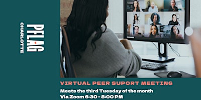 Imagem principal de Virtual Peer Support