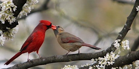 Wild about Love primary image