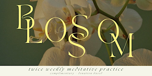 Blossom: free 20min yoga, meditation, or breathwork break for professionals primary image