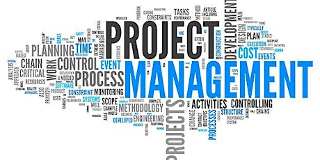 Imagen principal de Project Management Series Session 3: Risk Management