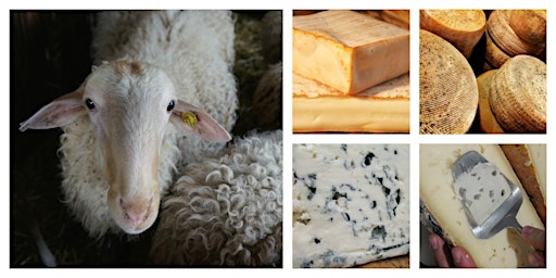 Primaire afbeelding van Feeling Sheepish? Pecorino, Brebis and More!