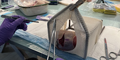 Midwives Suturing Camp