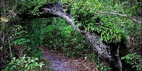 Guided Barrier Island Sanctuary Hike  primärbild