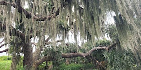 Imagen principal de Florida Arbor Day Hike at Twin Oaks