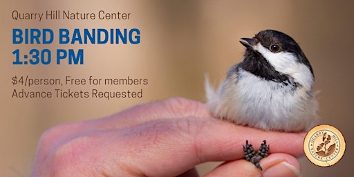 Hauptbild für Bird Banding at Quarry Hill