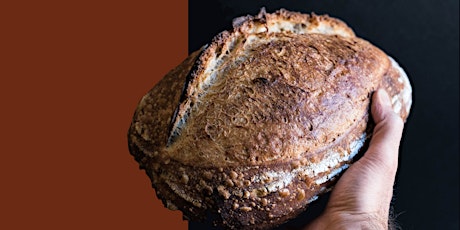 Easy Sourdough Bread primary image