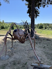 Guided Forest Therapy Walk at Pacifica: A Garden in the Siskiyous