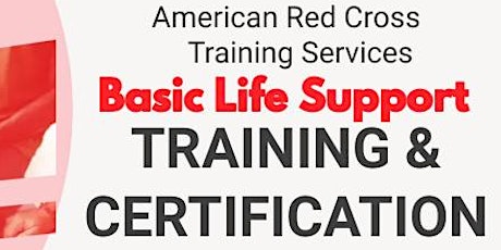 American Red Cross Basic Life Support Training and Certification
