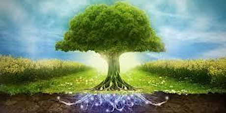  SOLD OUT Create Your Tree of Life - Creative Therapy Workshop primary image